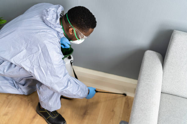 Real Estate Pest Inspections in Frankston, TX